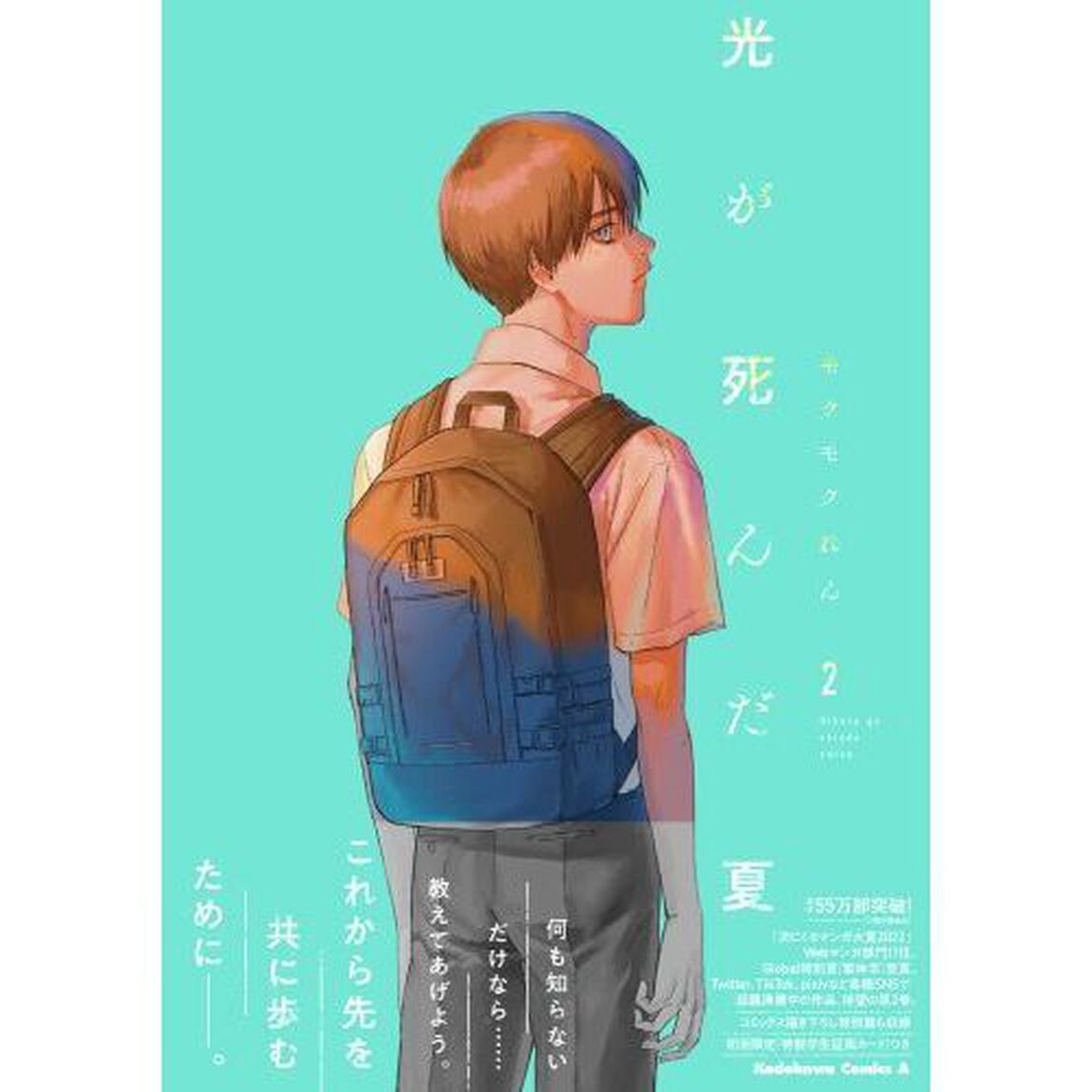光が死んだ夏　２