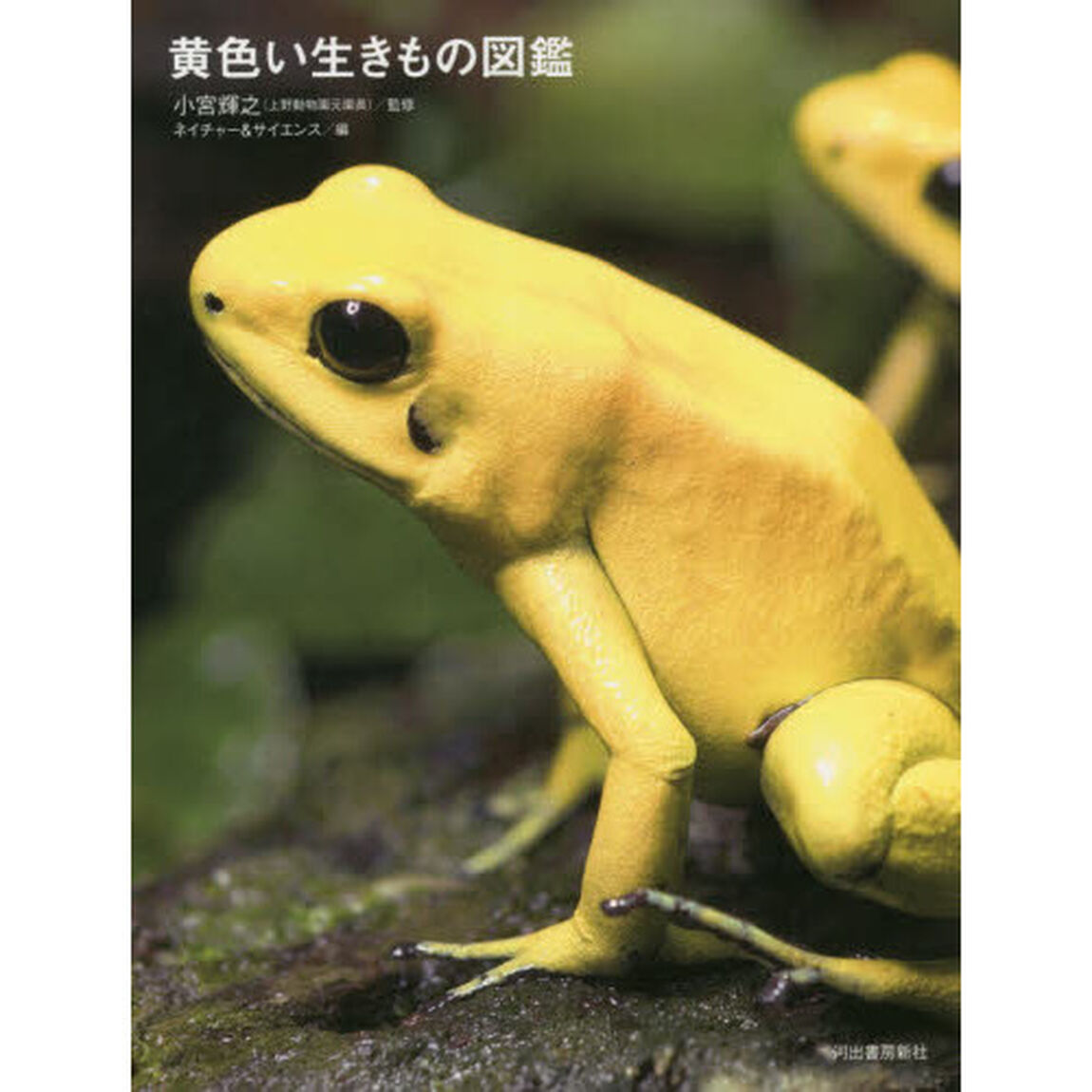 黄色い生きもの図鑑