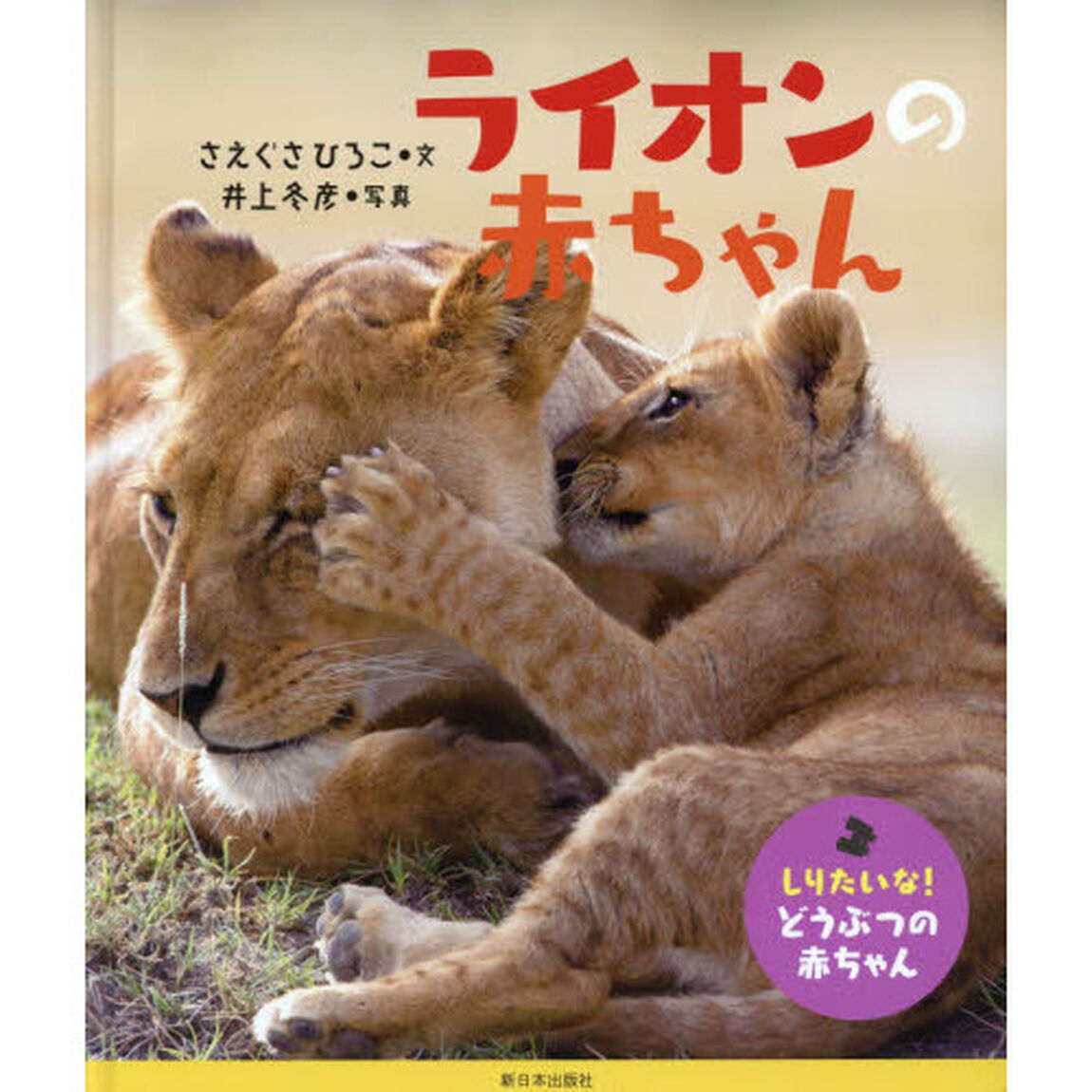 ライオンの赤ちゃん