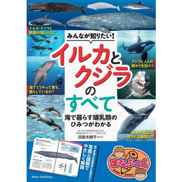 みんなが知りたい！イルカとクジラのすべて　海で暮らす哺乳類のひみつがわかる
