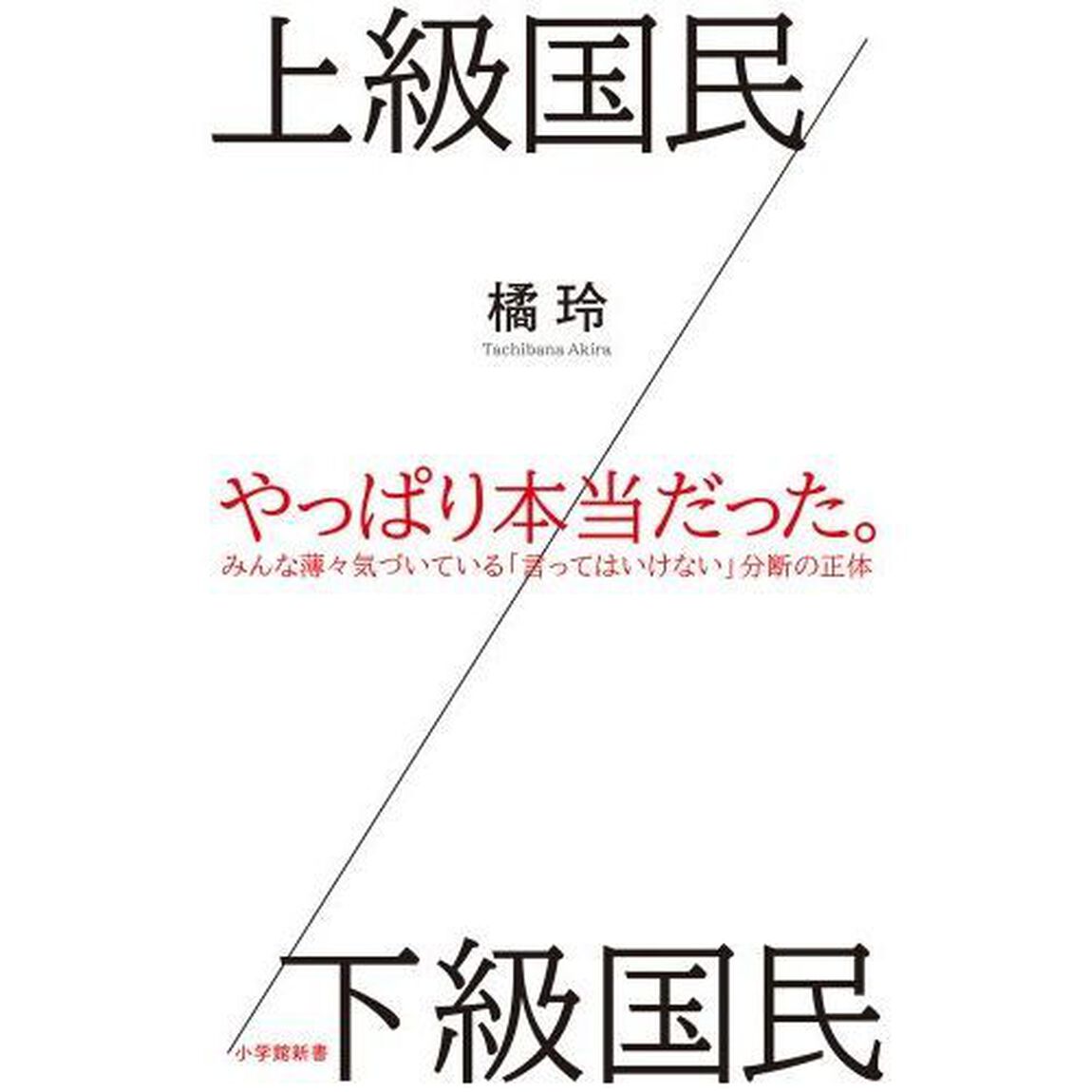 上級国民／下級国民 (小学館新書)