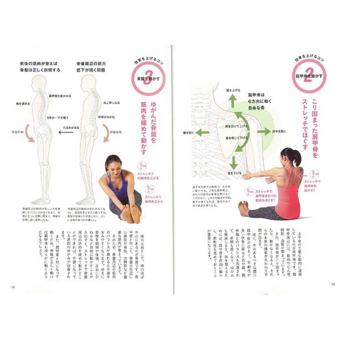 不調撃退！肩甲骨・骨盤ストレッチ
