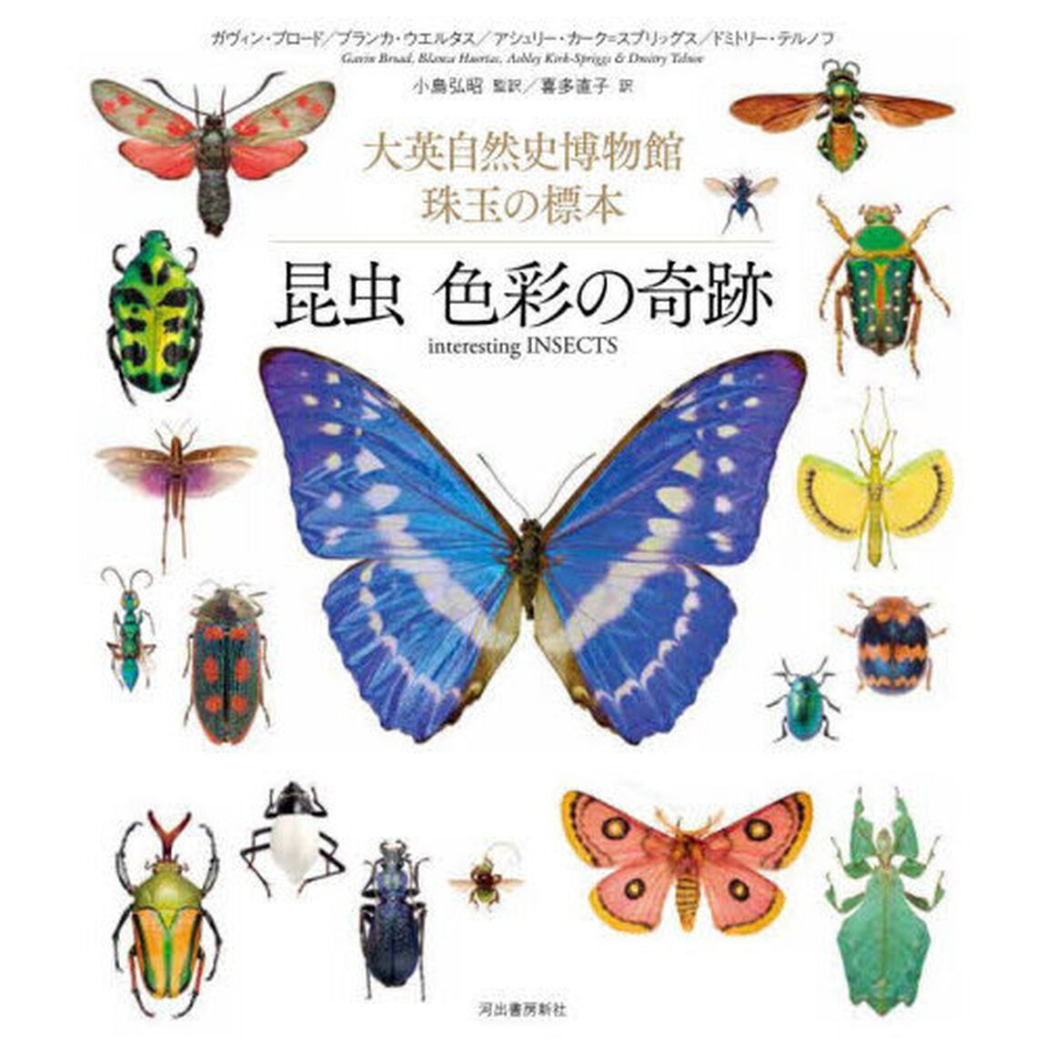 昆虫色彩の奇跡　大英自然史博物館珠玉の標本