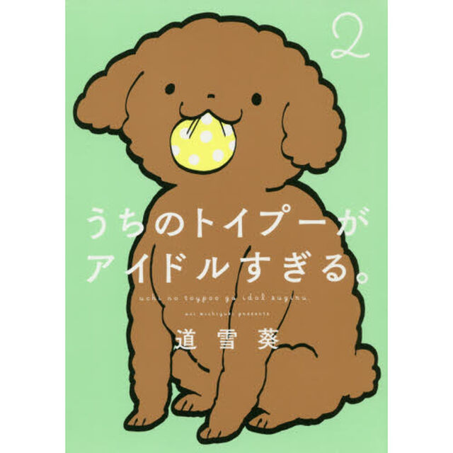 うちのトイプーがアイドルすぎる。2