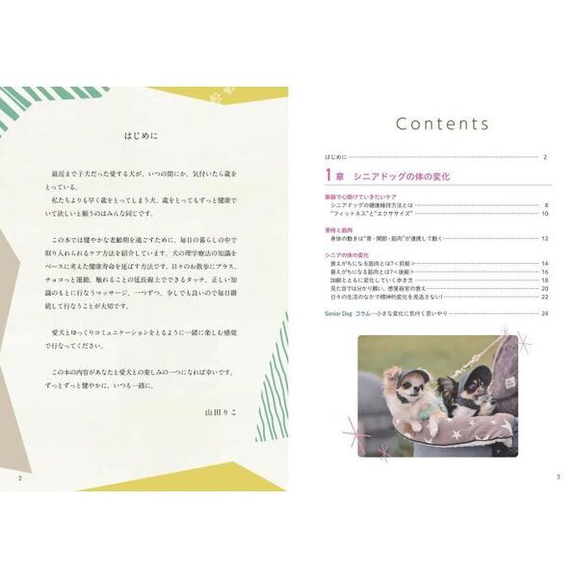 シニア犬のためのドッグマッサージ 健康サポートBOOK 目的・体調別の予防とボディケア