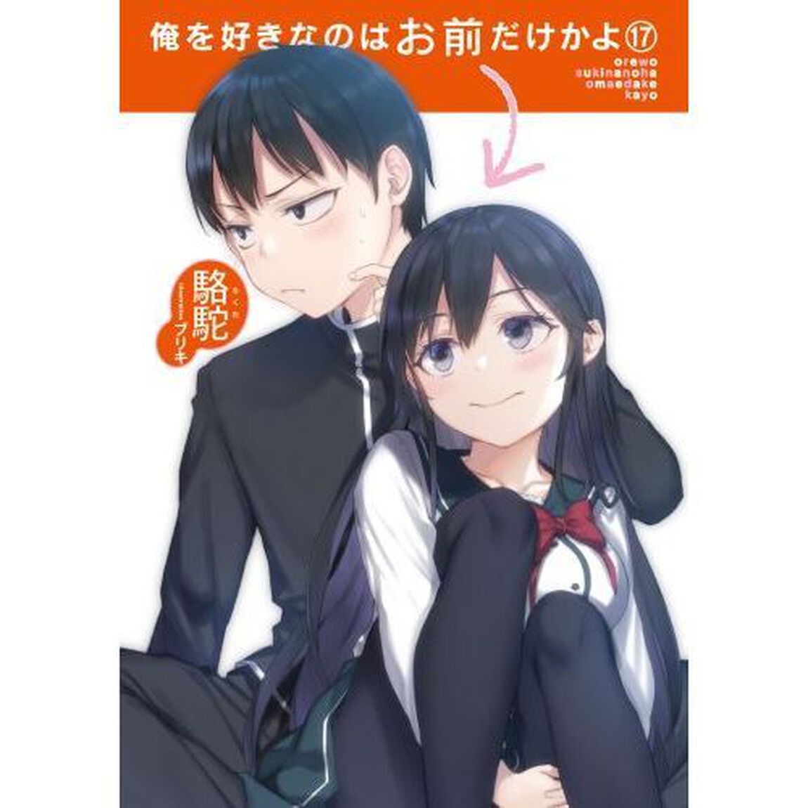 俺を好きなのはお前だけかよ　１７