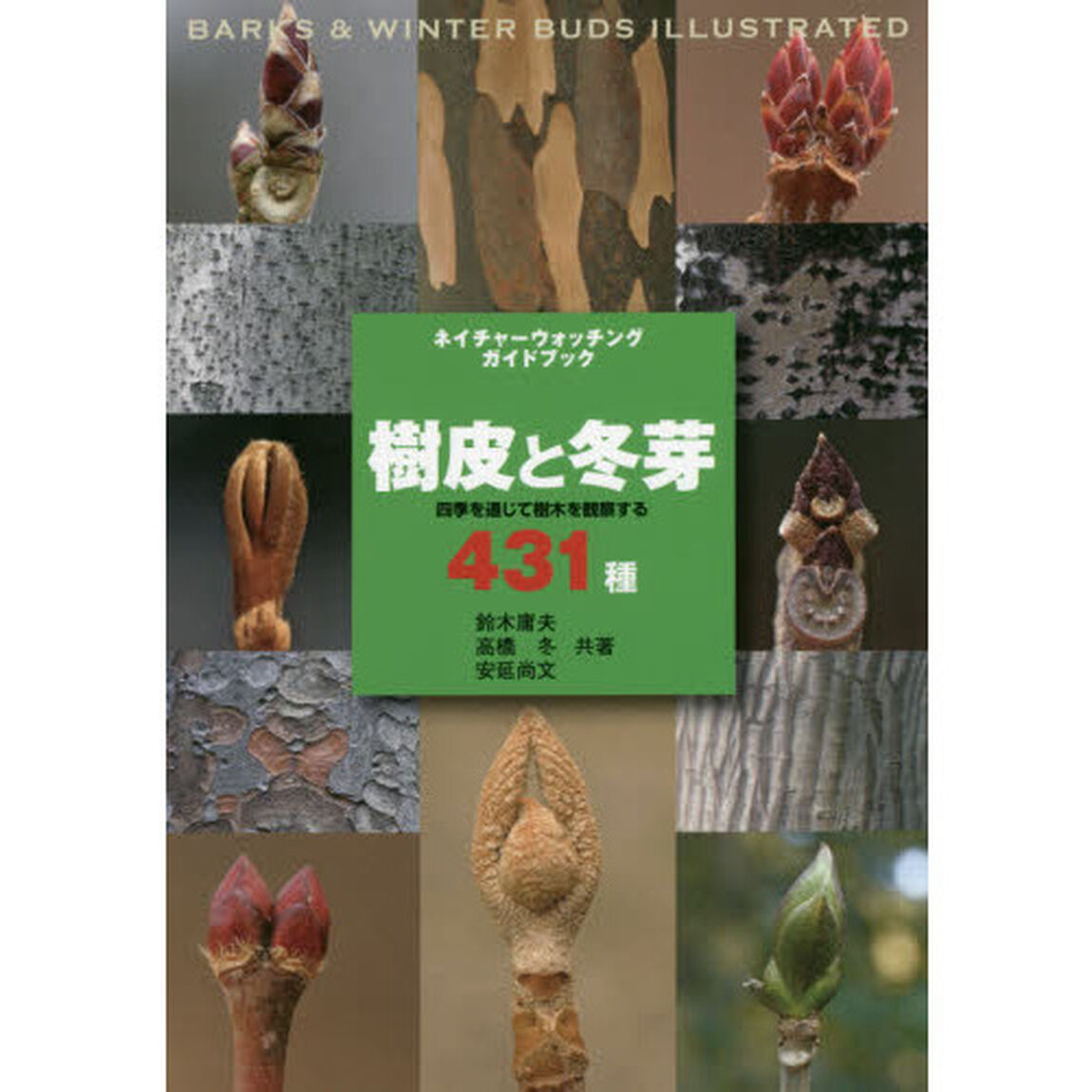 樹皮と冬芽　四季を通じて樹木を観察する４３１種