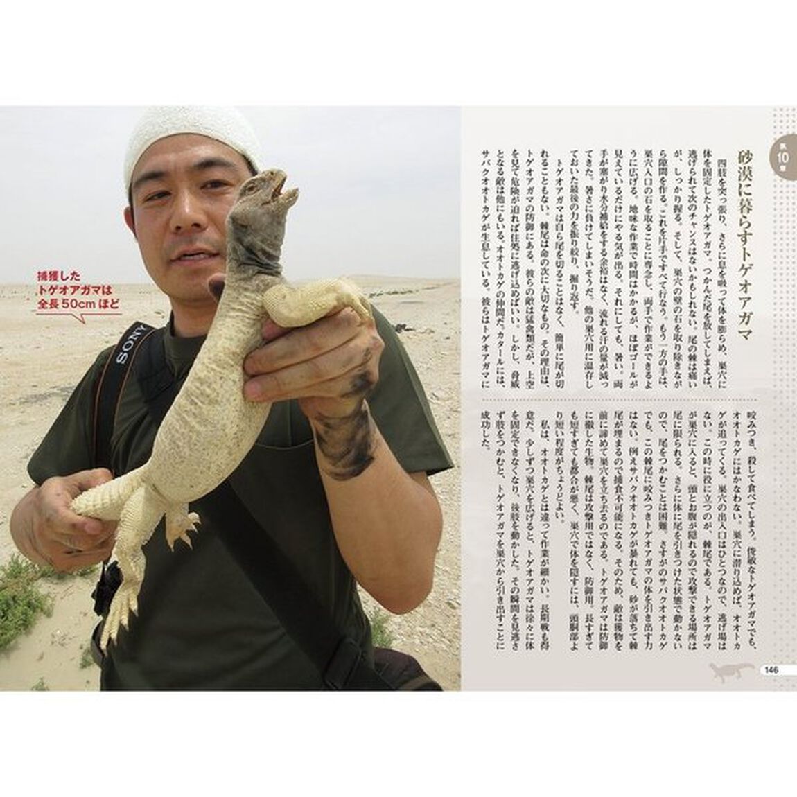 爬虫類ハンター加藤英明が世界を巡る