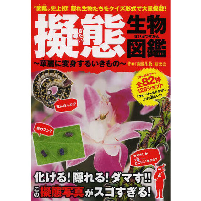 擬態生物図鑑　華麗に変身するいきもの　&ldquo;図鑑&rdquo;史上初！隠れ生物たちをクイズ形式で大量掲載！　超変身！隠れ生物を探せ！！