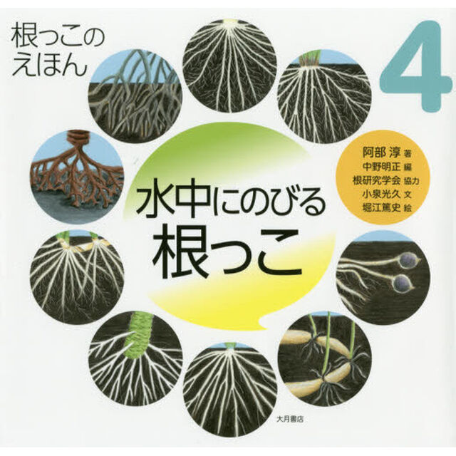 根っこのえほん　４「水中にのびる根っこ」