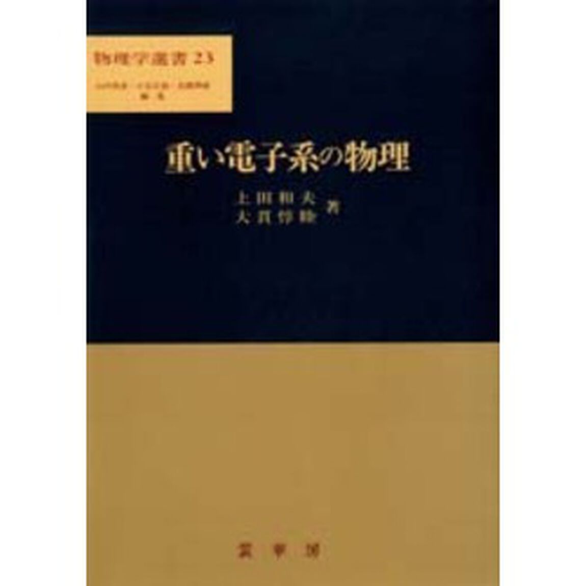 重い電子系の物理