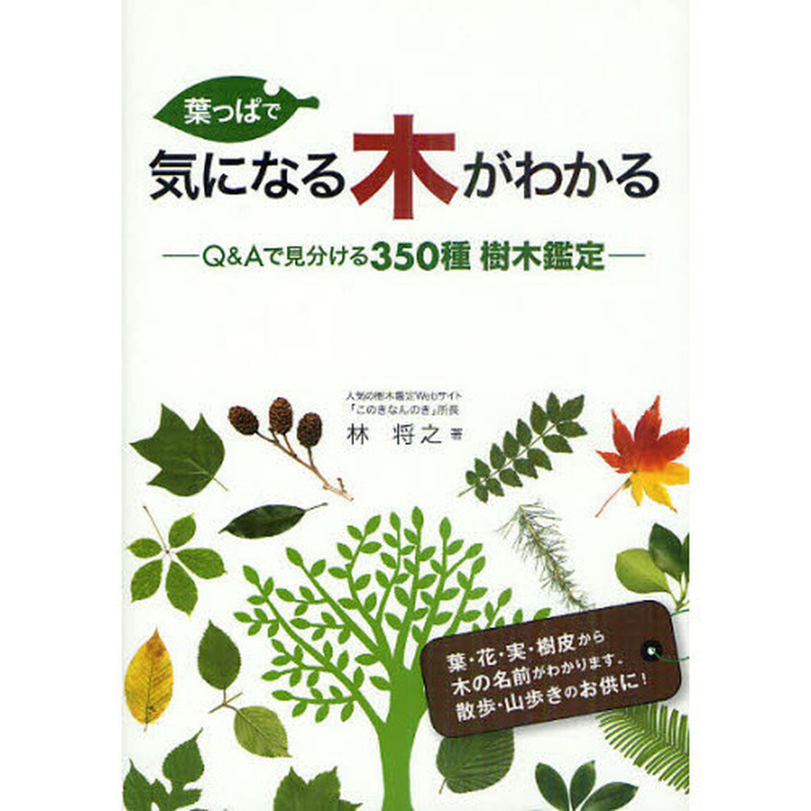 葉っぱで気になる木がわかる