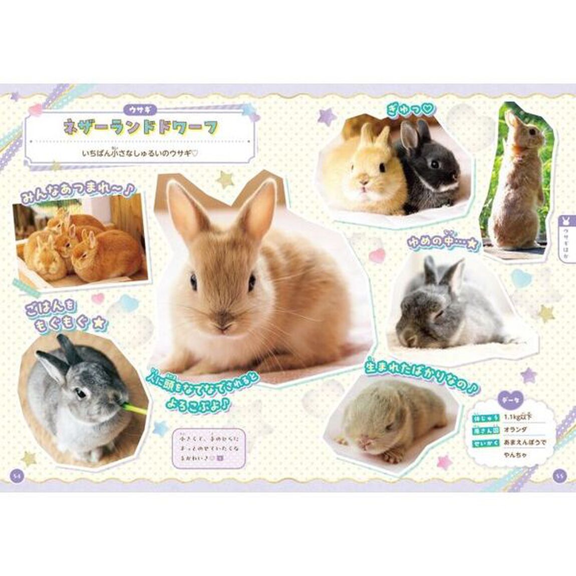 かわいいどうぶつだいしゅうごうもふもふいっぱいずかん