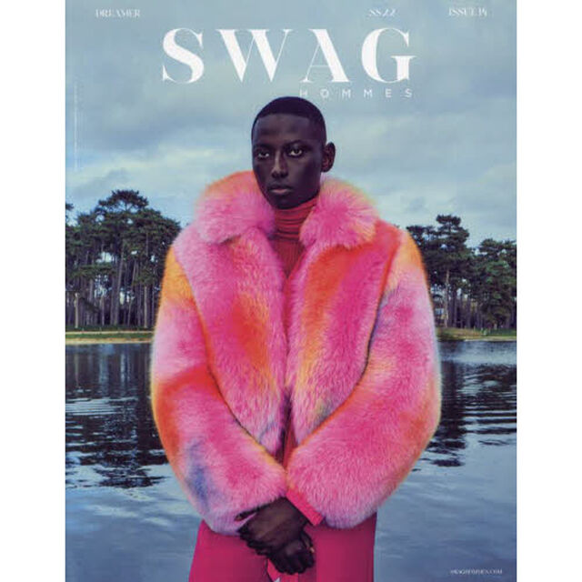 ＳＷＡＧ　ＨＯＭＭＥＳ　ＩＳＳＵＥ１４（２２ＳＳ）「ＤＲＥＡＭＥＲ」