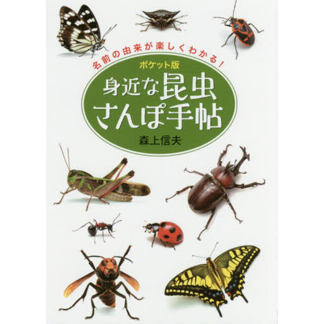 身近な昆虫さんぽ手帖　ポケット版　名前の由来が楽しくわかる！