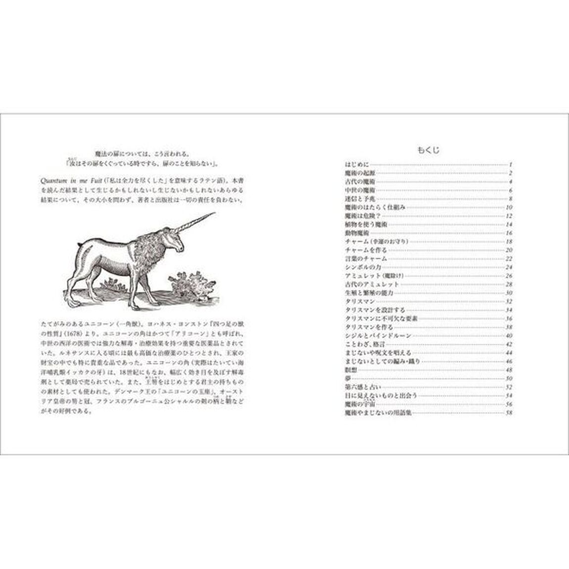 護符と呪文の秘密　アミュレット、タリスマン、チャームの不思議