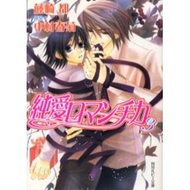 純愛ロマンチカ　３