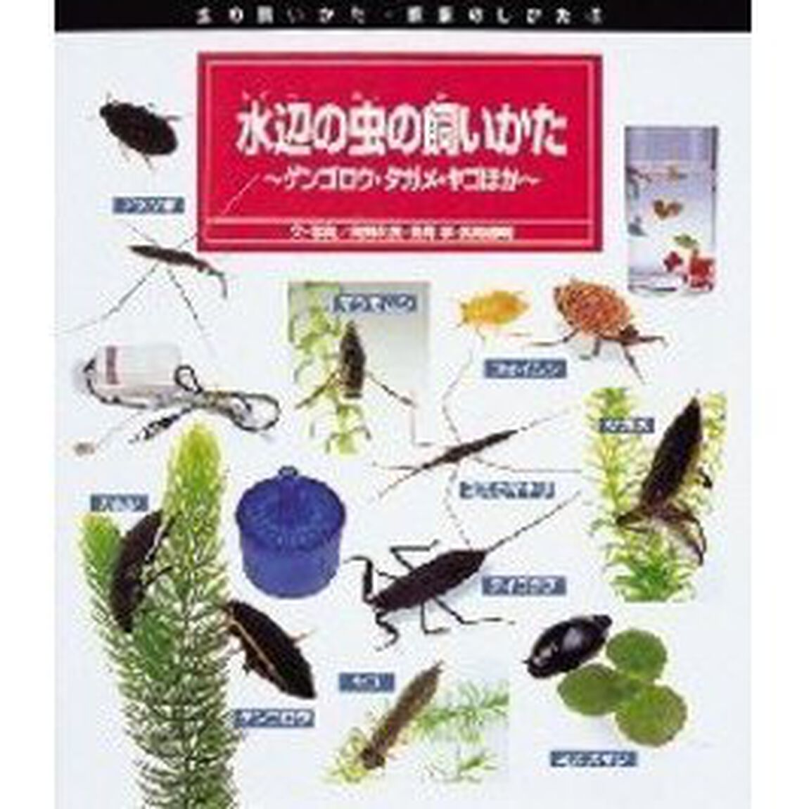 水辺の虫の飼いかた　ゲンゴロウ・タガメ・ヤゴほか