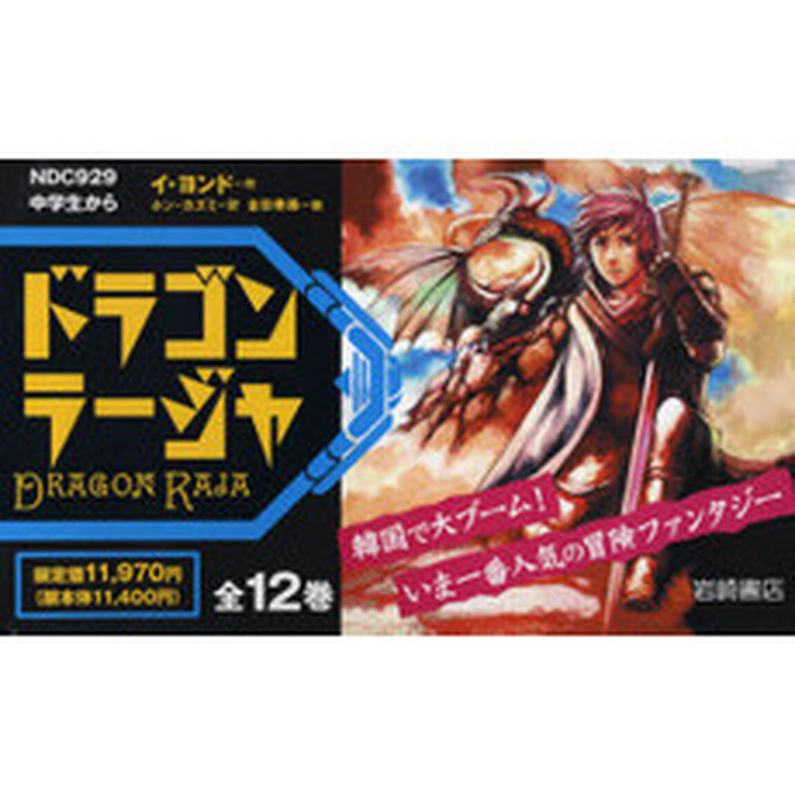 ドラゴンラージャ　全１２巻