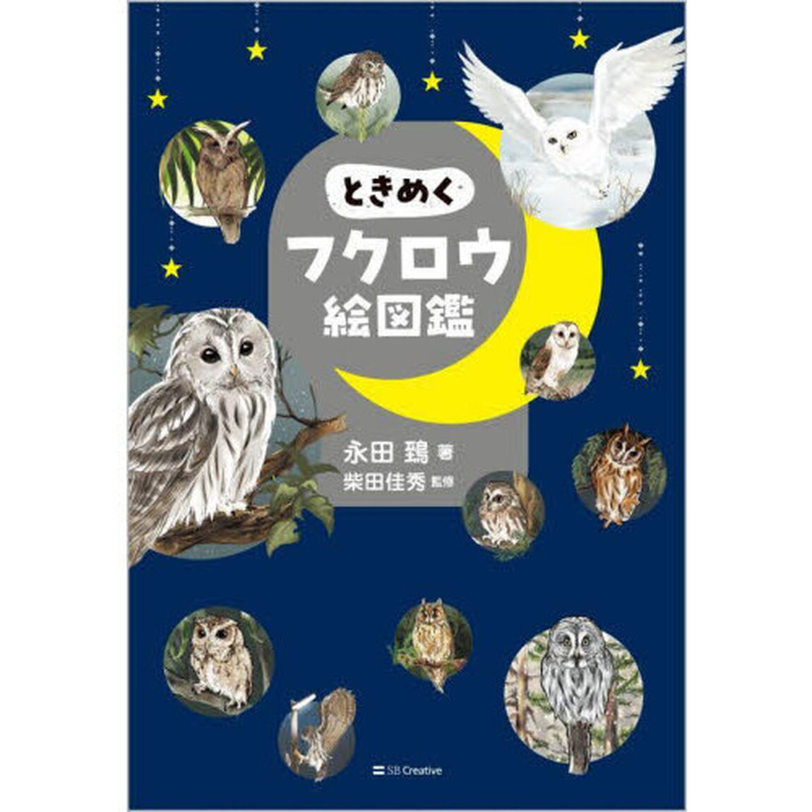 ときめくフクロウ絵図鑑