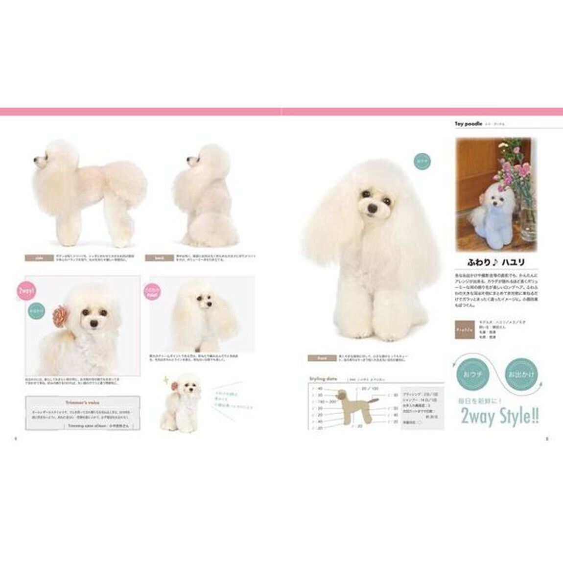 トリムノート　Ｄｏｇ　ｈａｉｒ　Ｃｏｌｌｅｃｔｉｏｎ　ｖｏｌ．４「１つのヘアで２度おいしいおウチでできる究極２Ｗａｙスタイル」