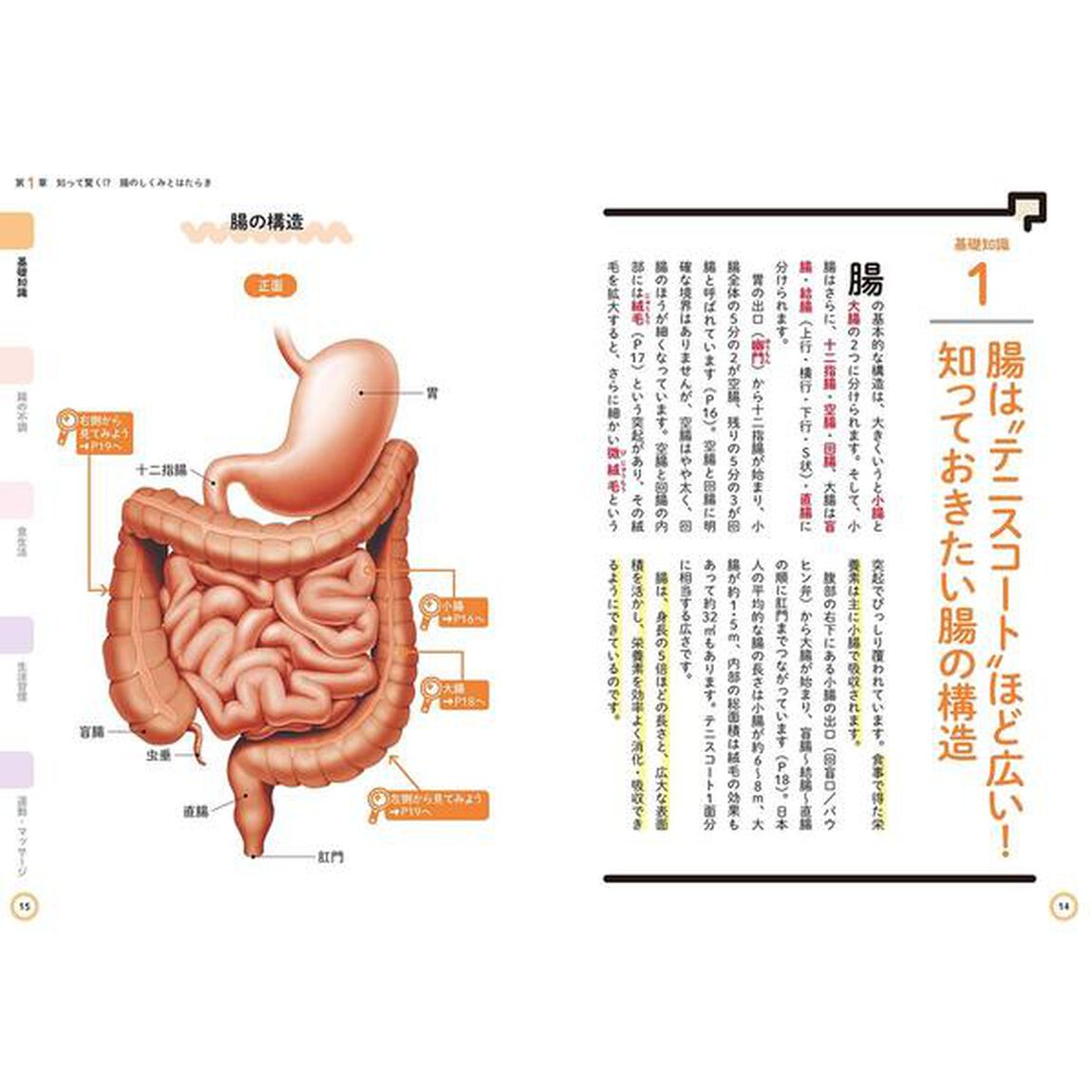 新しい腸の教科書　健康なカラダは、すべて腸から始まる