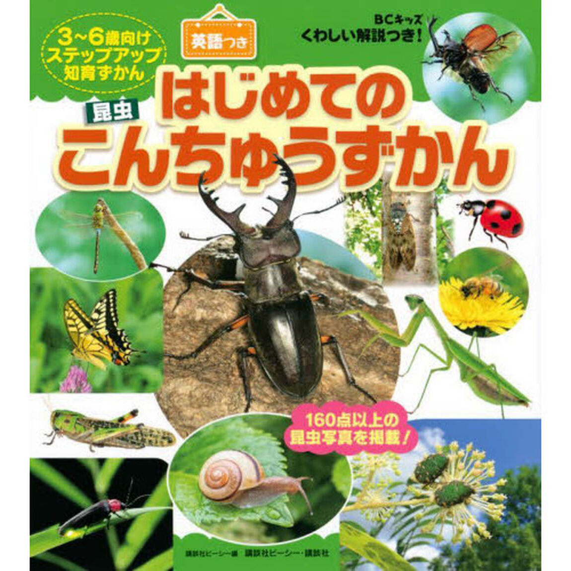 はじめてのこんちゅうずかん　ＢＣキッズくわしい解説つき！　英語つき　ずかんを見ながら英語が学べる！　３〜６歳向けステップアップ知育ずかん