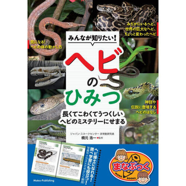 みんなが知りたい！ヘビのひみつ 長くてこわくてうつくしいヘビのミステリーにせまる
