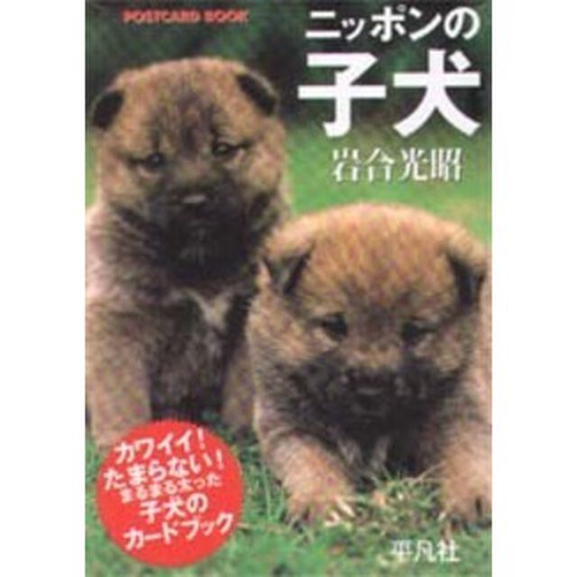 ニッポンの子犬