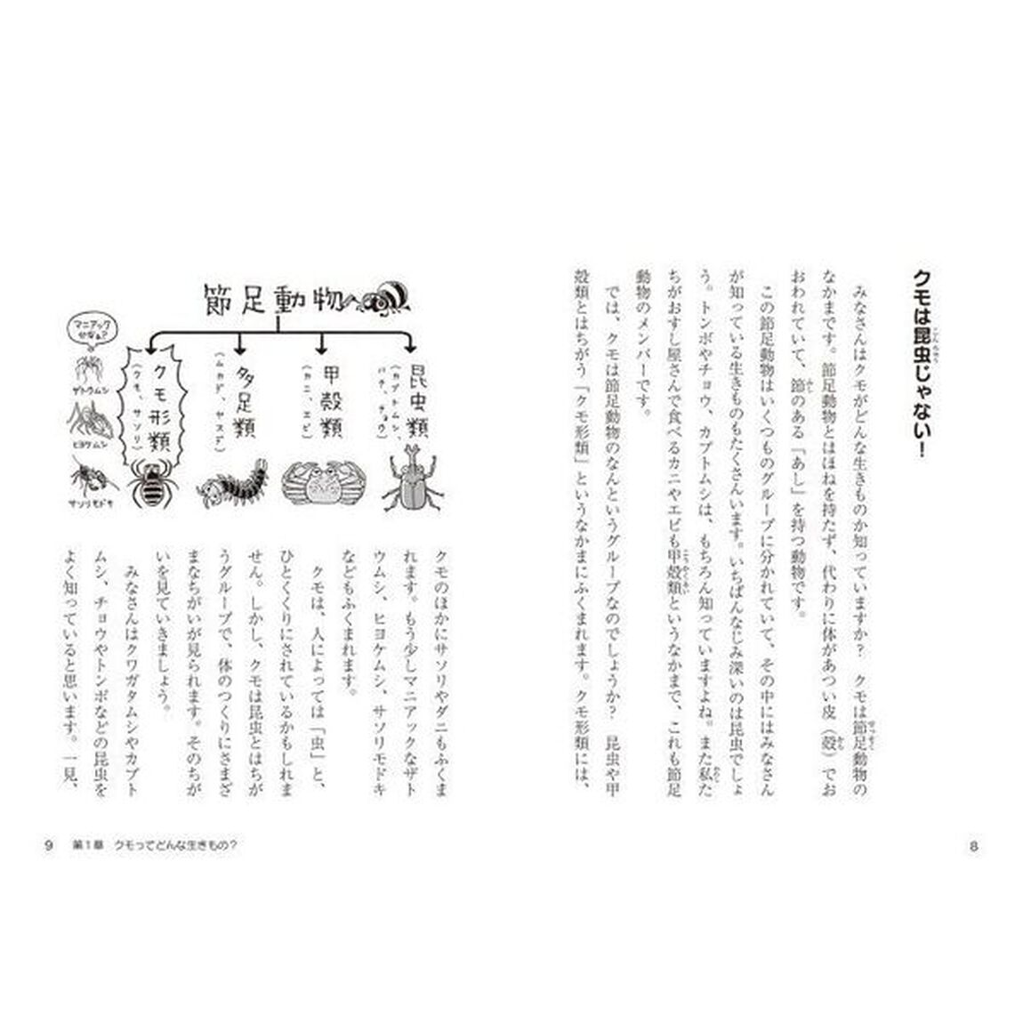 知れば楽しいクモの世界　網のひみつと忍者のような能力！？
