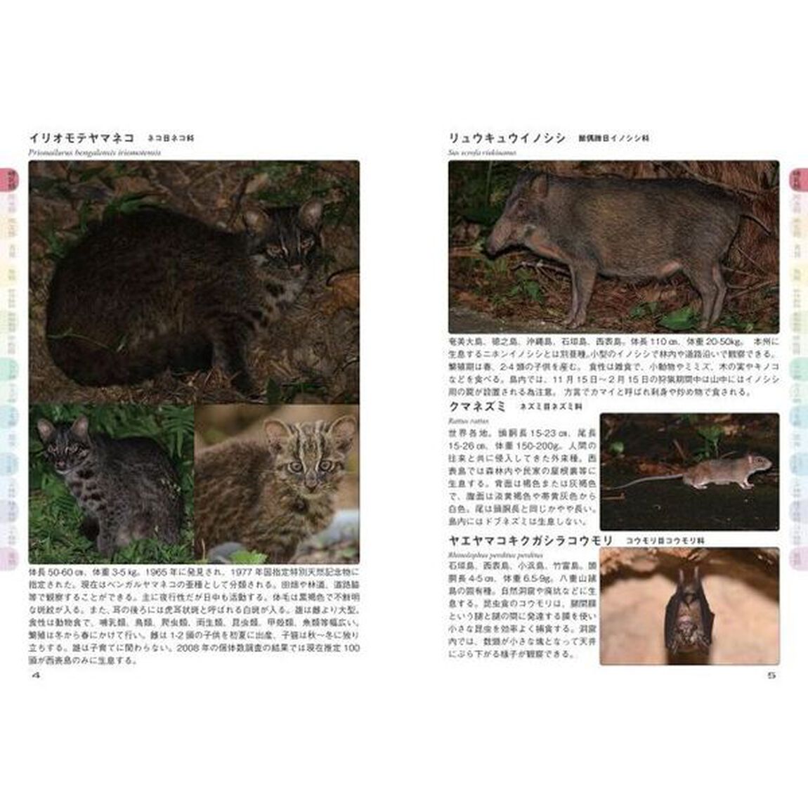 西表島のいきもの図鑑１０００種　世界自然遺産