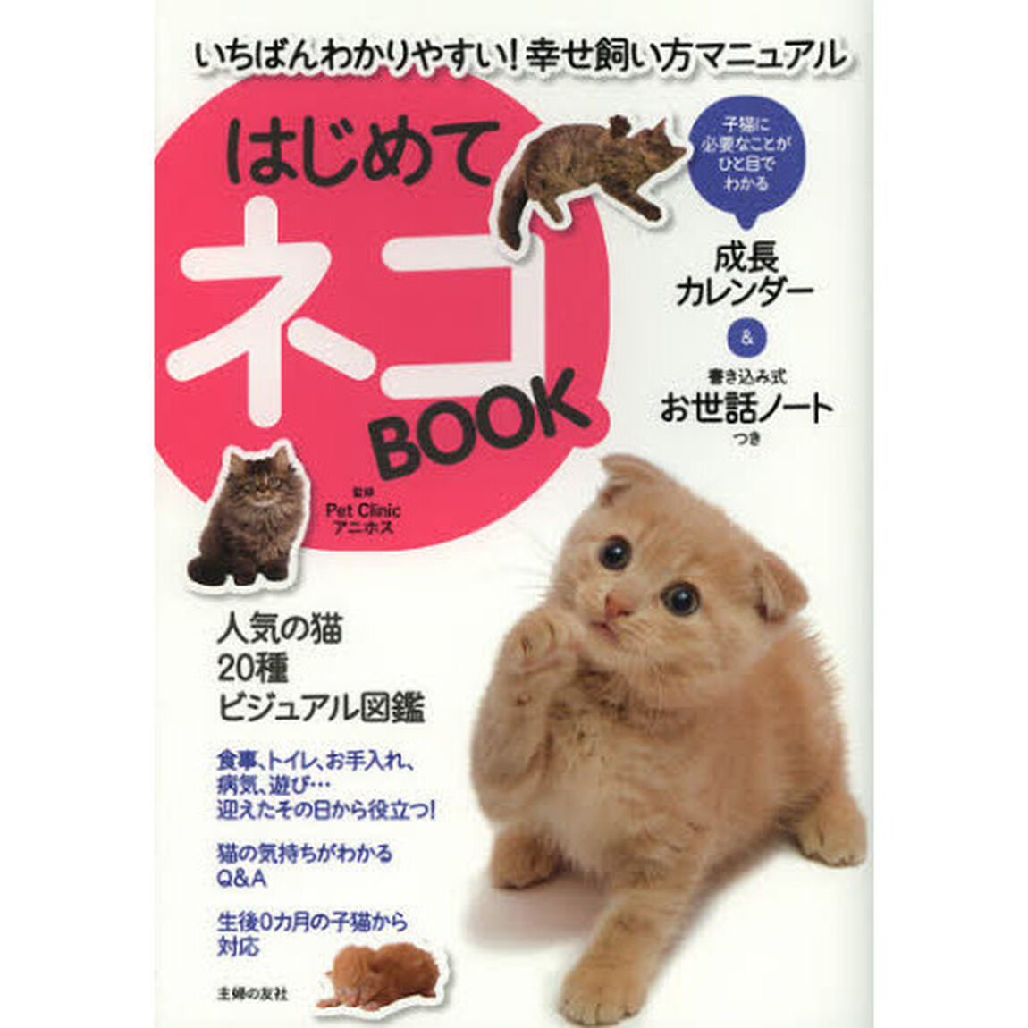 はじめてネコＢＯＯＫ　いちばんわかりやすい！幸せ飼い方マニュアル