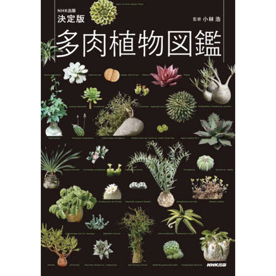 多肉植物図鑑　ＮＨＫ出版決定版