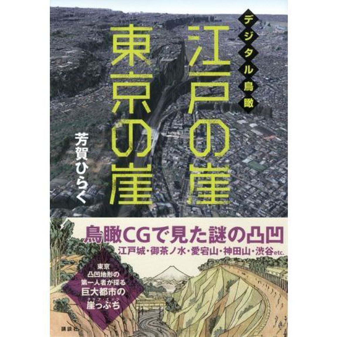デジタル鳥瞰江戸の崖東京の崖