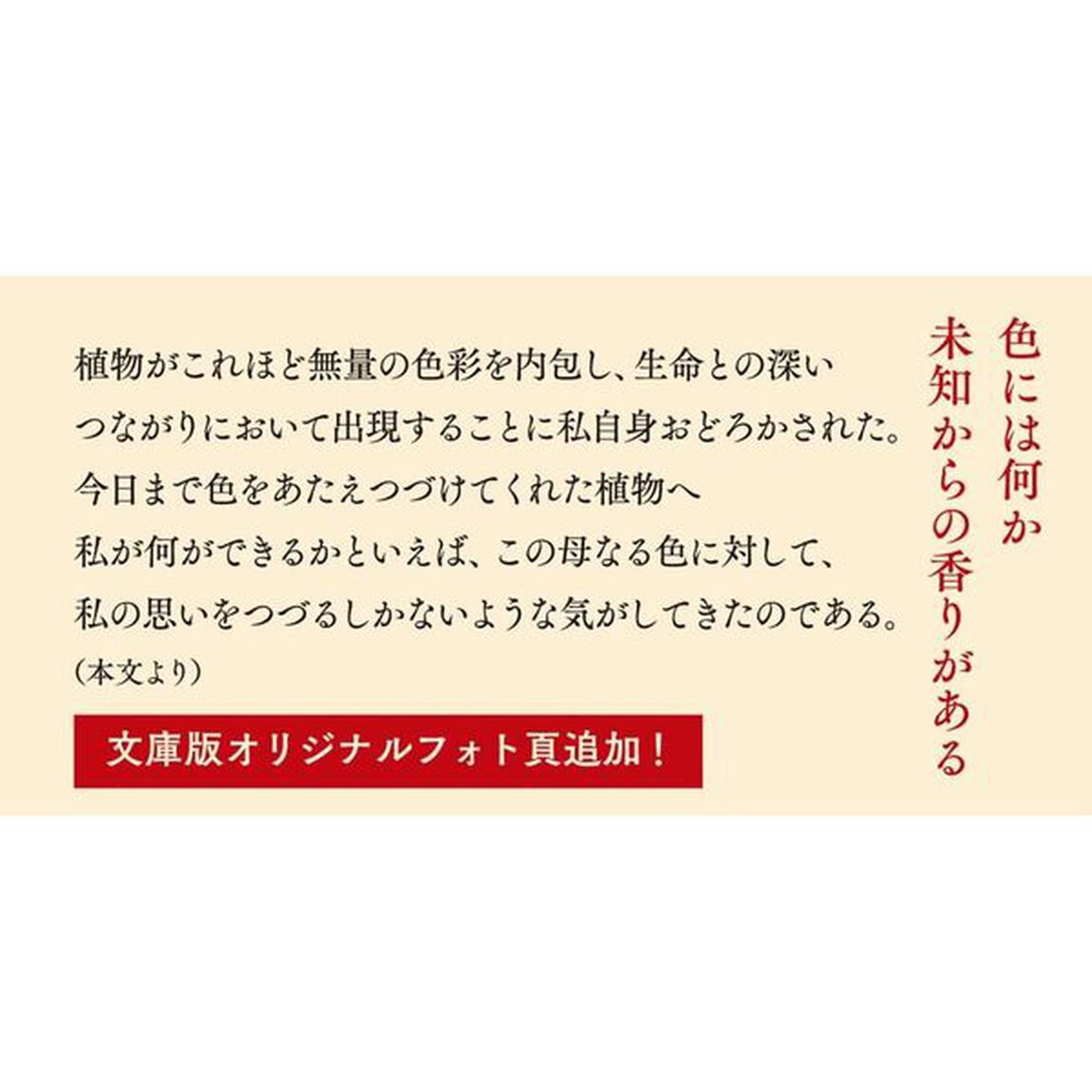 母なる色