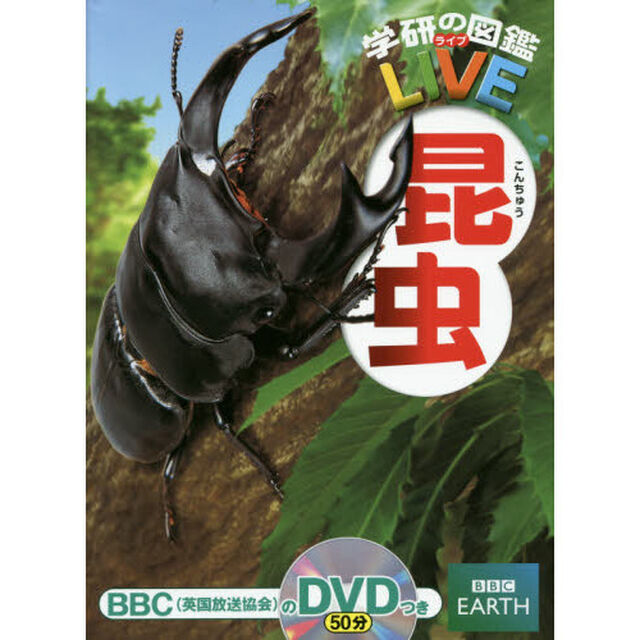 学研の図鑑ＬＩＶＥ　昆虫　特典付き