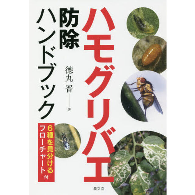 ハモグリバエ防除ハンドブック　６種を見分けるフローチャート付