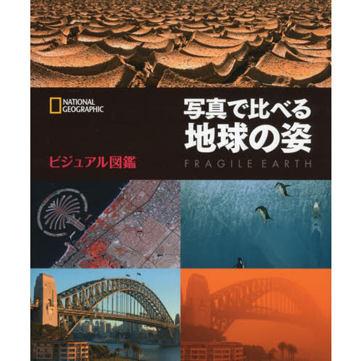 ビジュアル図鑑 写真で比べる地球の姿