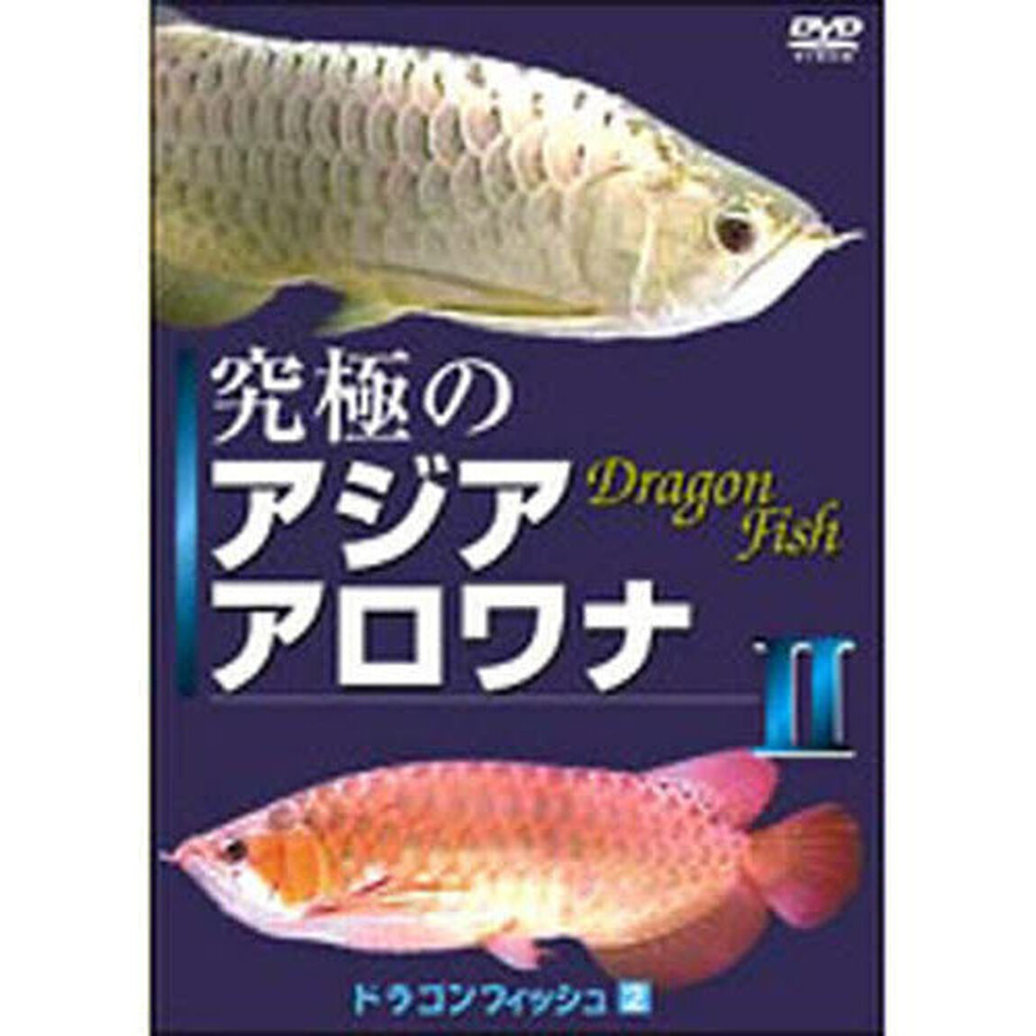 究極のアジアアロワナ　　　２