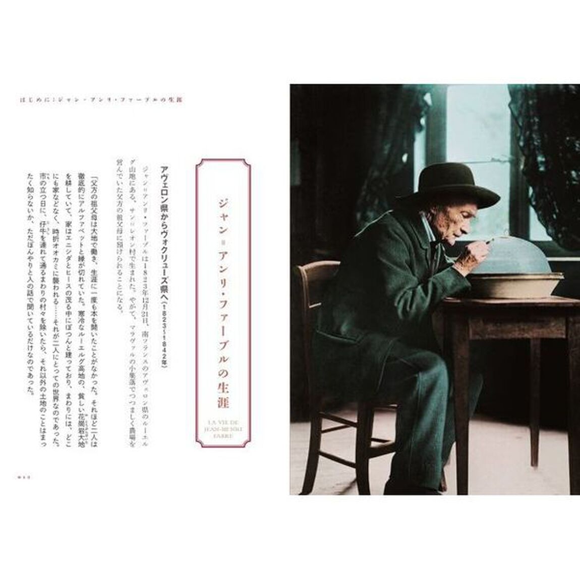 ファーブル驚異の博物誌