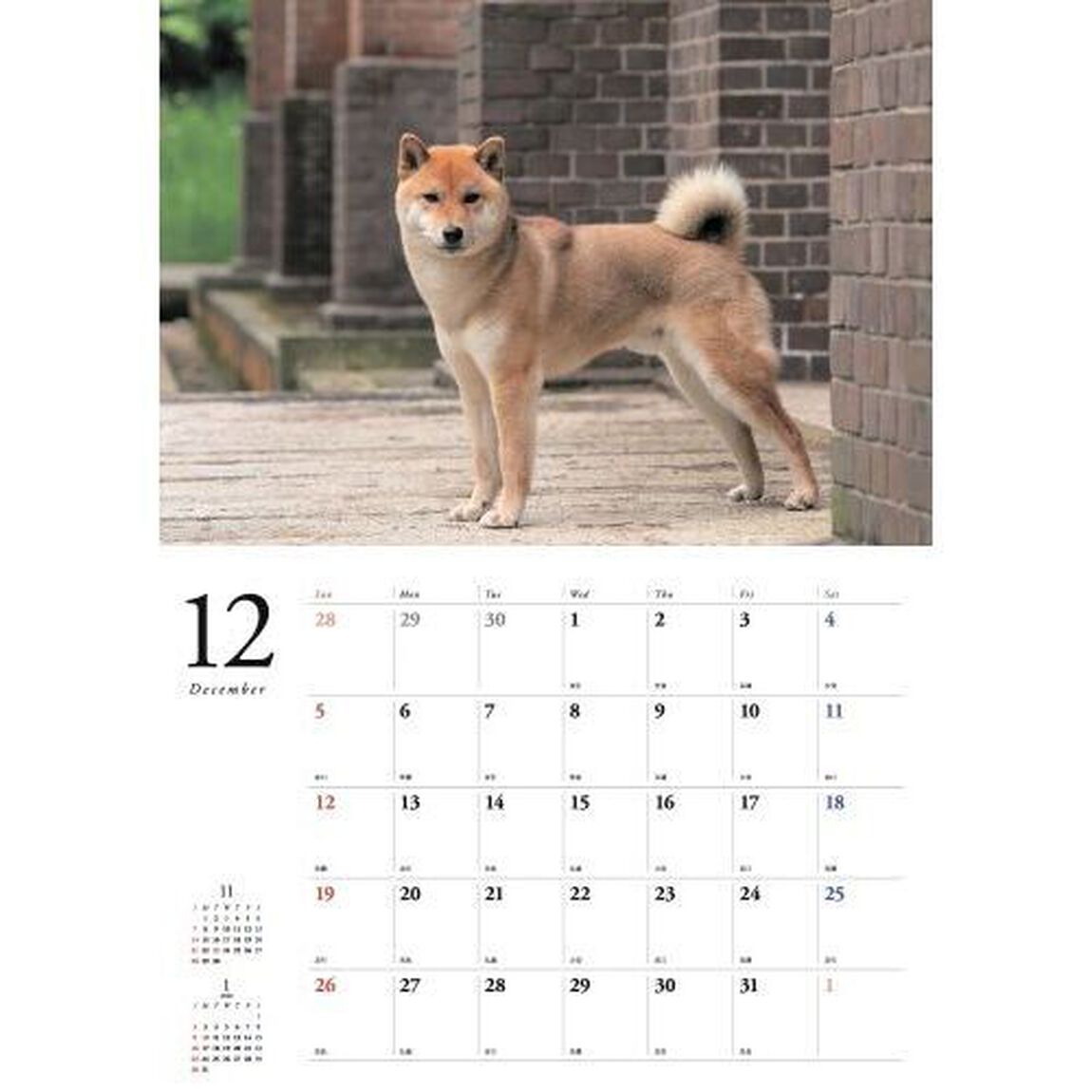 日本の柴犬カレンダー 2027