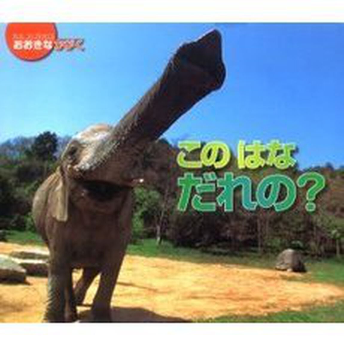 このはなだれの？