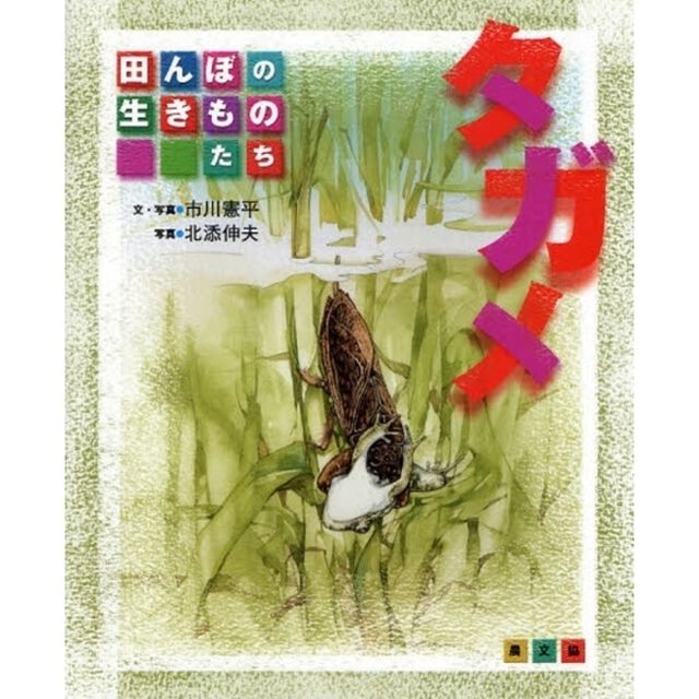 タガメ