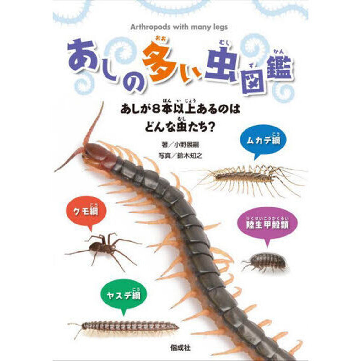あしの多い虫図鑑　あしが８本以上あるのはどんな虫たち？