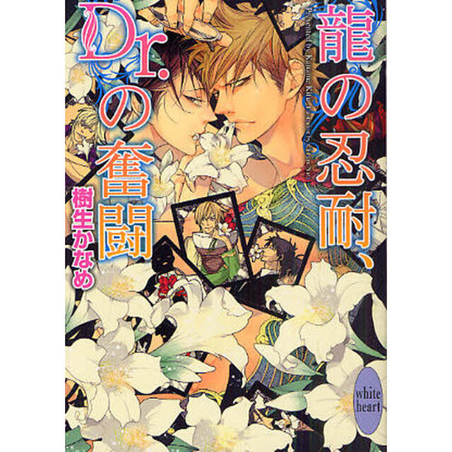龍の忍耐、Ｄｒ．の奮闘