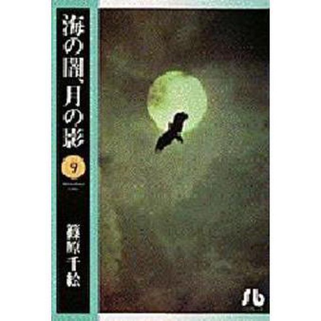 海の闇、月の影　９