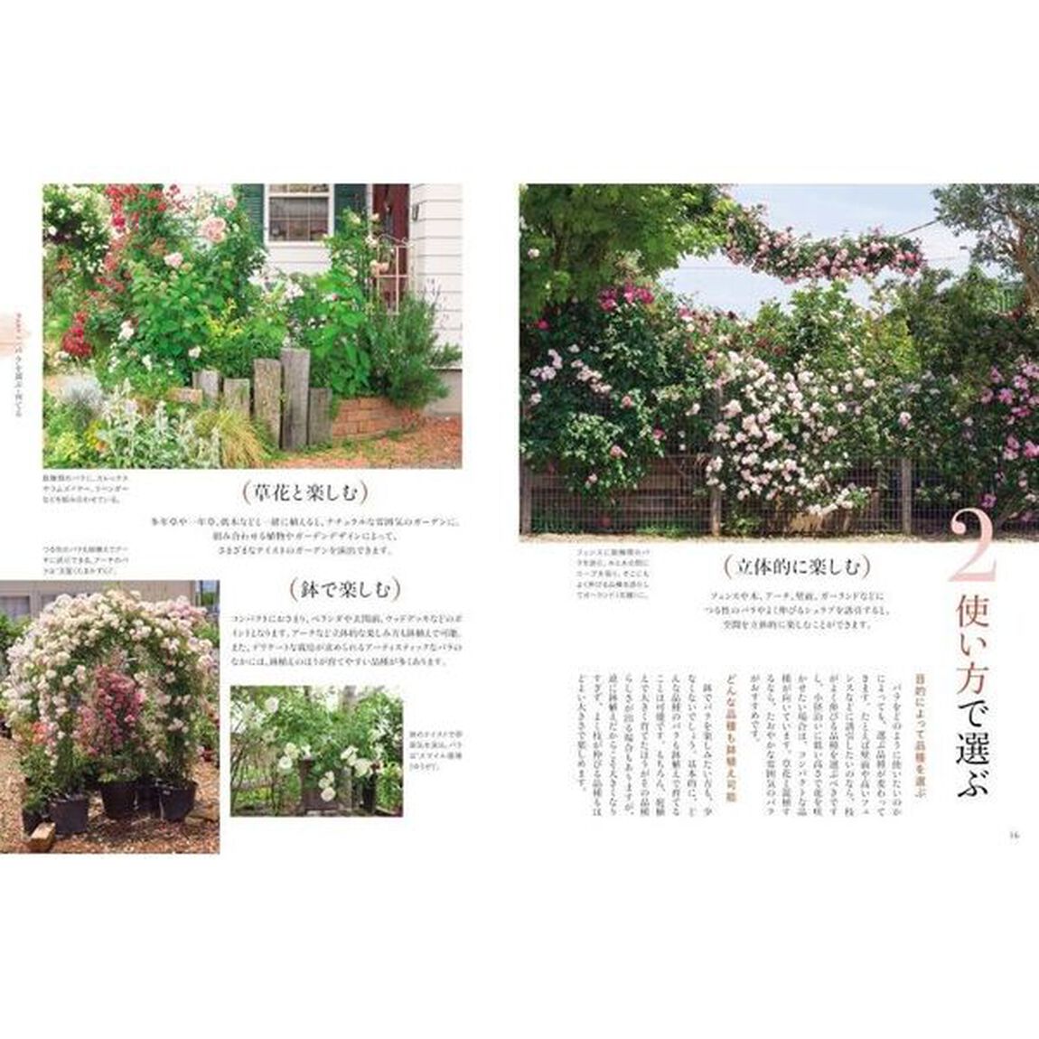 手間いらずで美しいバラづくり