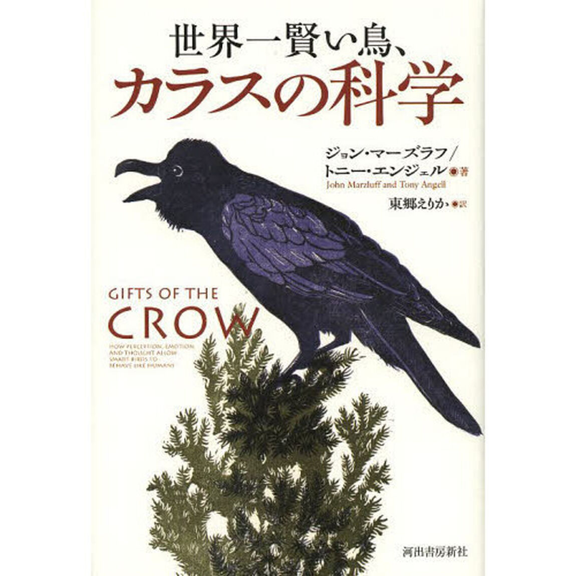 世界一賢い鳥、カラスの科学