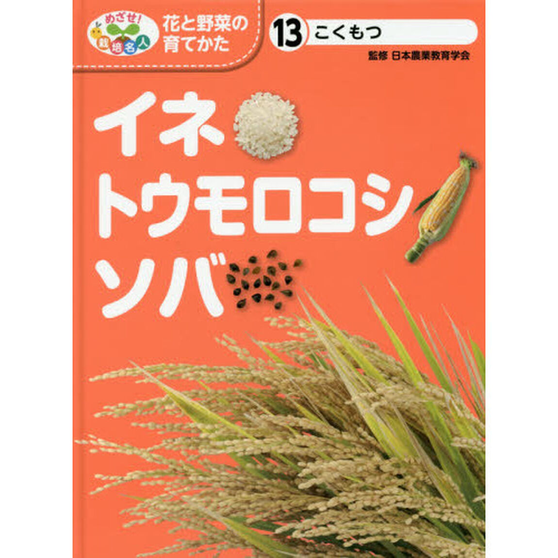 めざせ！栽培名人花と野菜の育てかた　１３「イネ・トウモロコシ・ソバ　こくもつ」