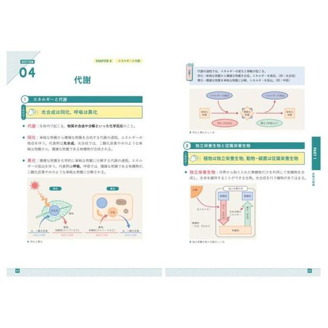 これだけおさえる！生物基礎の要点整理